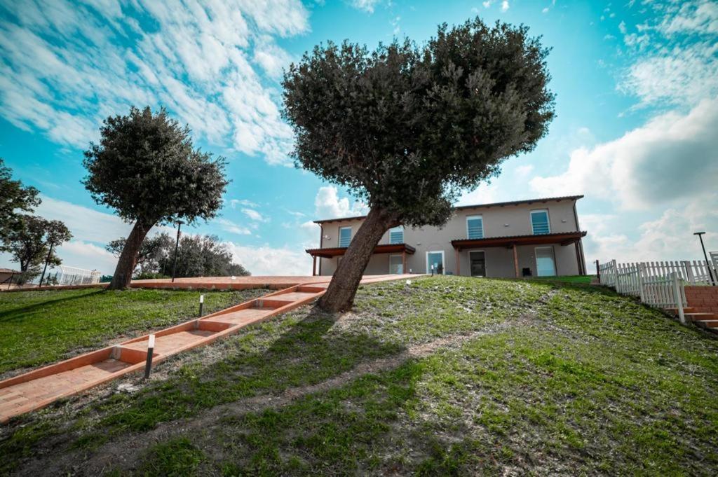 Agriturismo Il Colle Dei Lecci อังโกนา ภายนอก รูปภาพ